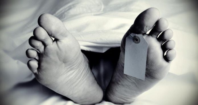 1fc8s89ofvr2alj169lo5lla77-20231013143633.Medi Svg%3E